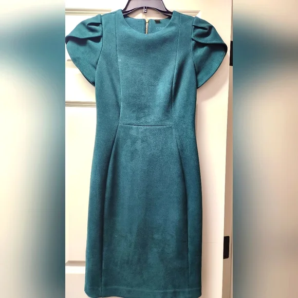 Calvin Klein | Dresses | Calvin Klein Velvet Dress With Tulip Sleeves Size  2 | Poshmark